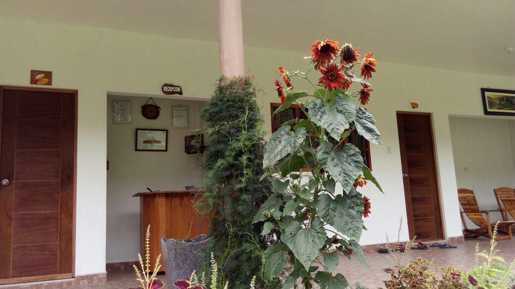 Auberge de jeunesse El Mangal à Maranura Extérieur photo